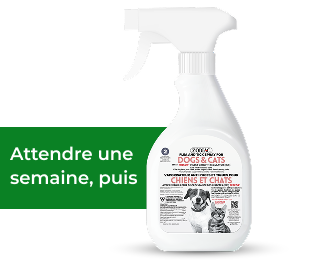 Attendre une semaine puis Image