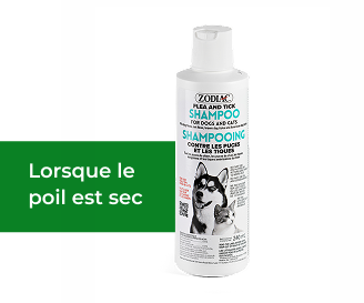 Lorsque le poil est sec Image (1)