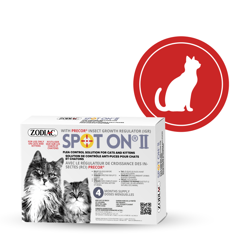 catredbutton